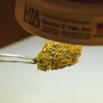 Cannabis delivery in Timisoara