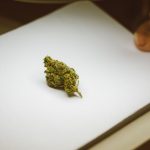 Cannabis store in Innsbruck