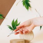 Cannabis shop in Austria