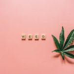 Weed store in Slovakia
