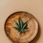Cannabis store in Wroclaw
