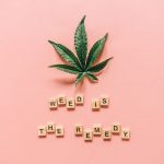 Cannabis shop in Brno