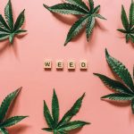 Marijuana store in Kaunas