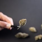 Cannabis shop in Brno