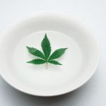 Cannabis delivery in Klaipeda