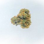 Buy THC cannabis in Tallinn