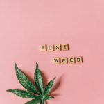 Buy THC cannabis in Italy