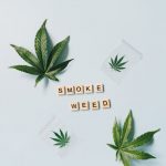 Buy the weed in Edinburgh