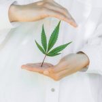 Cannabis store in Wuppertal