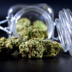 Buy hashish in Belgrade