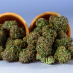Buy hashish in Hanover