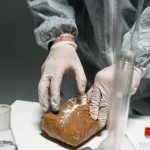 Buy THC cannabis in Utrecht