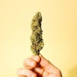 Buy THC vapes in Thessaloniki