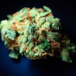 420 store in London